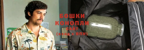 прущие грибы Белокуриха