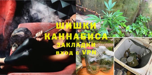 прущие грибы Белокуриха