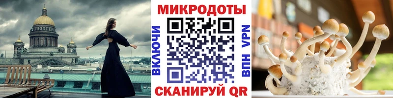Псилоцибиновые грибы мухоморы  Кизилюрт 